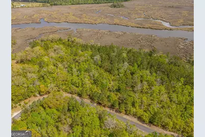 Lot 47 Waverly Lane, White Oak, GA 31568 - Photo 3