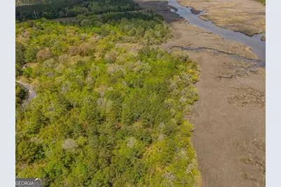 Lot 47 Waverly Lane, White Oak, GA 31568 - Photo 7