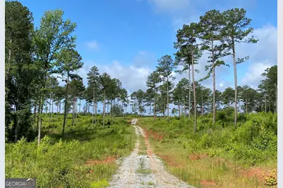 Lot 3 Giles Road, Forsyth, GA 31029 - Photo 3