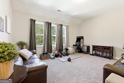 335 Park Haven Lane, Tyrone, GA 30290 - Photo 33