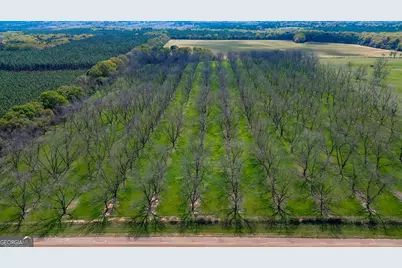 662 Red Hill Road, Richland, GA 31825 - Photo 25