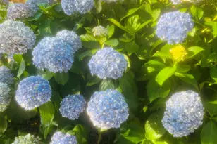 103 Powers Ct, Lagrange, GA 30240 - Photo 39