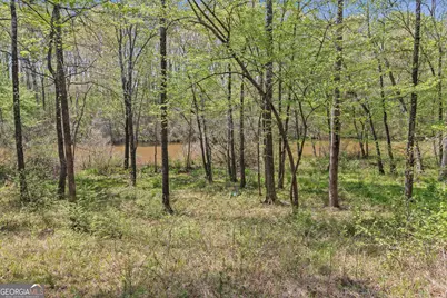 198 Antony Drive, Jackson, GA 30233 - Photo 31