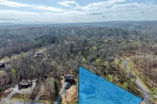 123 Lake Top Ln, Ellijay, GA 30540 - Photo 49