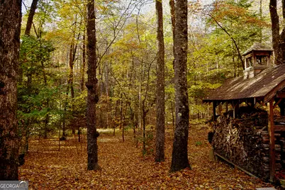 456 Bull Frog Lane, Clayton, GA 30525 - Photo 93