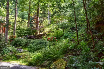 456 Bull Frog Lane, Clayton, GA 30525 - Photo 69