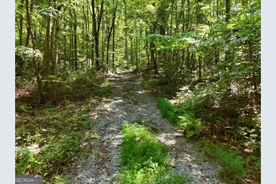 145 Ac. Bell Mountain, Hiawassee, GA 30546 - Photo 13