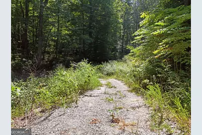 145 Ac. Bell Mountain, Hiawassee, GA 30546 - Photo 11