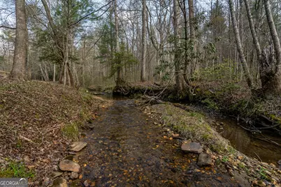 1132 Hells Hollow Road, Blue Ridge, GA 30513 - Photo 5
