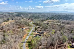 123 Lake Top Ln, Ellijay, GA 30540 - Photo 51