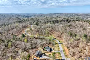 123 Lake Top Ln, Ellijay, GA 30540 - Photo 49