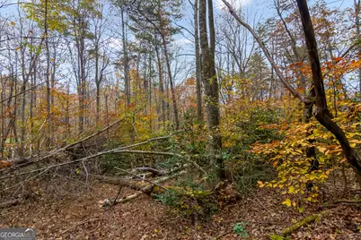 14551 E Hwy 52, Ellijay, GA 30536 - Photo 45