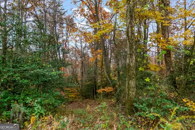 14551 E Hwy 52, Ellijay, GA 30536 - Photo 41