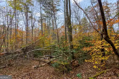 14551 E Hwy 52, Ellijay, GA 30536 - Photo 17