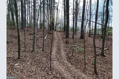 4801 Pat Colwell Road, Blairsville, GA 30512 - Photo 9