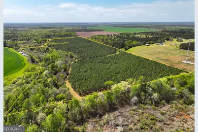 0 Hwy 26, Hawkinsville, GA 31036 - Photo 9