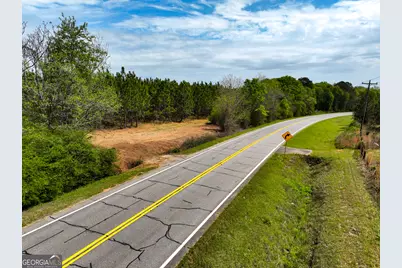0 Hwy 26, Hawkinsville, GA 31036 - Photo 3