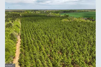 0 Hwy 26, Hawkinsville, GA 31036 - Photo 5