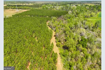 0 Hwy 26, Hawkinsville, GA 31036 - Photo 7