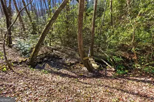 522 Rebel Cir, Sky Valley, GA 30537 - Photo 59