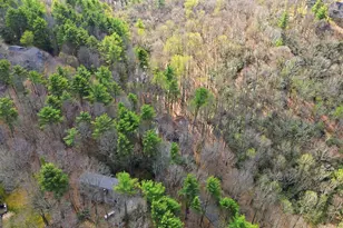 522 Rebel Cir, Sky Valley, GA 30537 - Photo 49