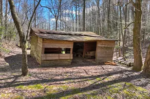 3693 Boardtown Rd, Ellijay, GA 30540 - Photo 61