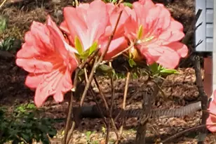 220 Evans Ln, Lakemont, GA 30552 - Photo 59