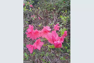 220 Evans Lane, Lakemont, GA 30552 - Photo 65