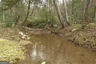 220 Evans Ln, Lakemont, GA 30552 - Photo 43