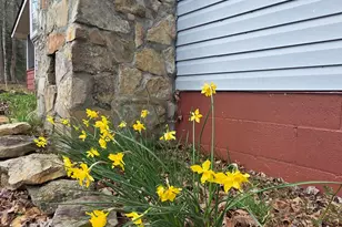 220 Evans Ln, Lakemont, GA 30552 - Photo 69