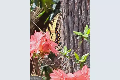 220 Evans Lane, Lakemont, GA 30552 - Photo 61