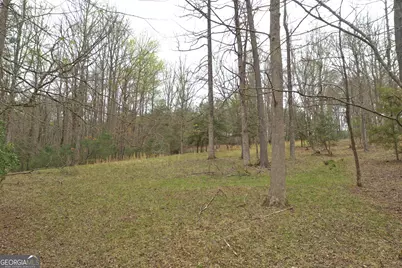 220 Evans Lane, Lakemont, GA 30552 - Photo 37