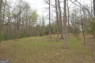 220 Evans Ln, Lakemont, GA 30552 - Photo 37