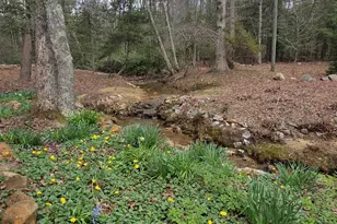 220 Evans Ln, Lakemont, GA 30552 - Photo 67