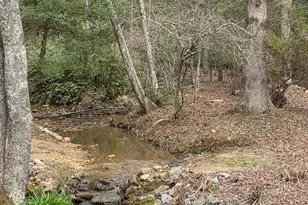 220 Evans Ln, Lakemont, GA 30552 - Photo 81