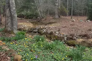 220 Evans Ln, Lakemont, GA 30552 - Photo 77