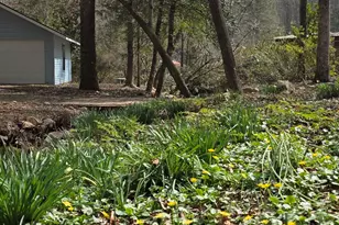 220 Evans Ln, Lakemont, GA 30552 - Photo 75