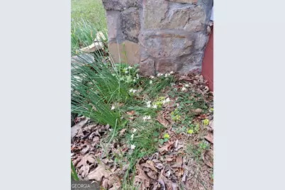 220 Evans Lane, Lakemont, GA 30552 - Photo 67