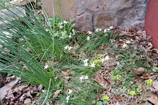 220 Evans Ln, Lakemont, GA 30552 - Photo 67