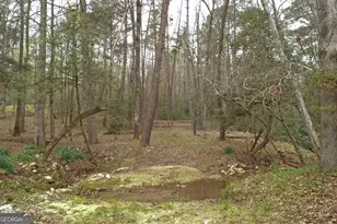 220 Evans Ln, Lakemont, GA 30552 - Photo 45