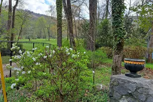 220 Evans Ln, Lakemont, GA 30552 - Photo 63