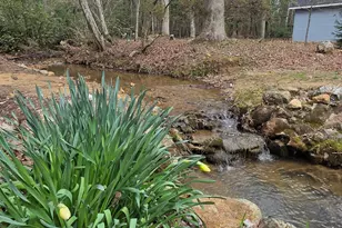 220 Evans Ln, Lakemont, GA 30552 - Photo 79