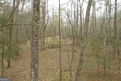 220 Evans Lane, Lakemont, GA 30552 - Photo 39