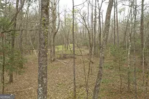 220 Evans Ln, Lakemont, GA 30552 - Photo 39