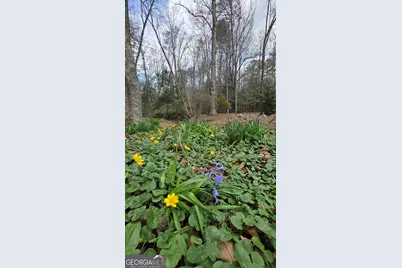 220 Evans Lane, Lakemont, GA 30552 - Photo 69