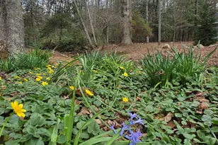 220 Evans Ln, Lakemont, GA 30552 - Photo 69