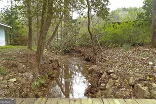 220 Evans Ln, Lakemont, GA 30552 - Photo 53