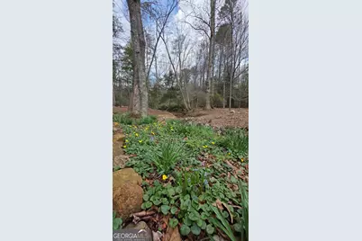 220 Evans Lane, Lakemont, GA 30552 - Photo 71