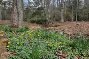 220 Evans Ln, Lakemont, GA 30552 - Photo 71