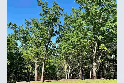 0 Little Eagle Mountain #LOT 5, Clarkesville, GA 30523 - Photo 35